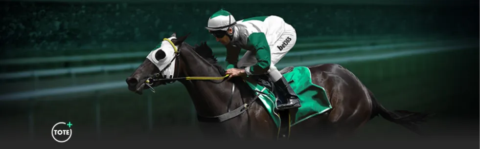 共赴雄安之,光俱乐部主,场盛宴,乐竞体育官网,乐竞体育网页版,乐竞体育官网入口,乐竞体育官网,乐竞体育首页